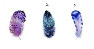 Revele el mensaje de su alma eligiendo una pluma que resuene con usted reveal