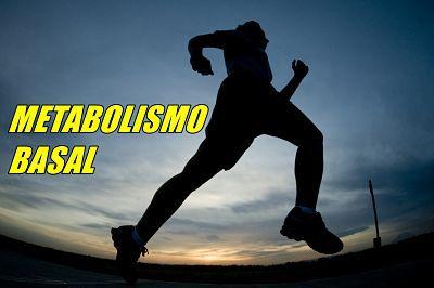 metabolismo basal definicion