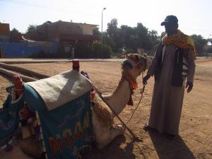 Aswan, a orillas del Nilo
