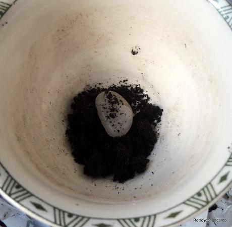 De tazas y plantas De tazas y plantas