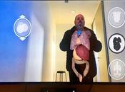 Anatomisches Museum