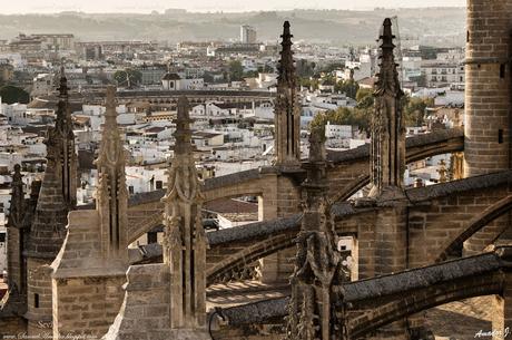 CUBIERTAS DE LA CATEDRAL DE SEVILLA