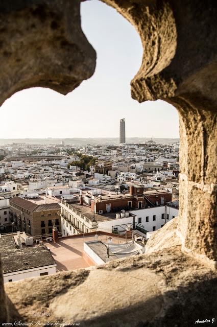 CUBIERTAS DE LA CATEDRAL DE SEVILLA