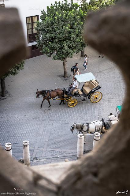 CUBIERTAS DE LA CATEDRAL DE SEVILLA