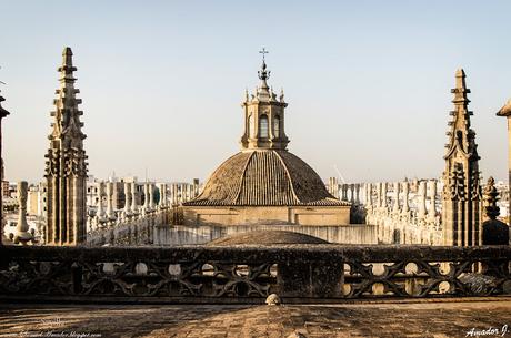 CUBIERTAS DE LA CATEDRAL DE SEVILLA