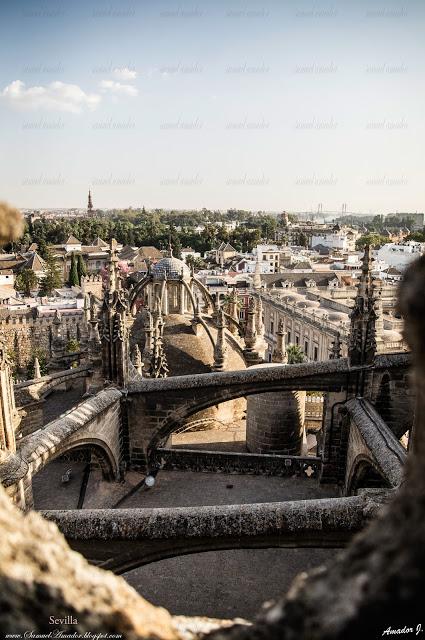 CUBIERTAS DE LA CATEDRAL DE SEVILLA