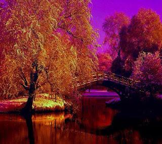 YO QUIERO CERRAR LOS OJOS...