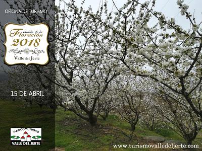 Fechas Cerezo en Flor Valle del Jerte