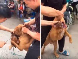 Como dar solución a una pelea