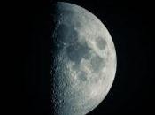 China cultivará plantas gusanos seda Luna