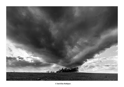 De nubes y árboles