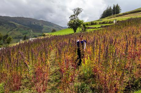 Mujeres de las alturas