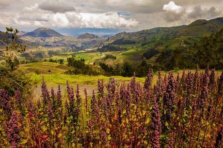 Mujeres de las alturas