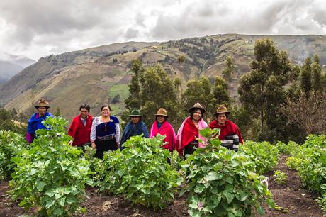 Mujeres de las alturas