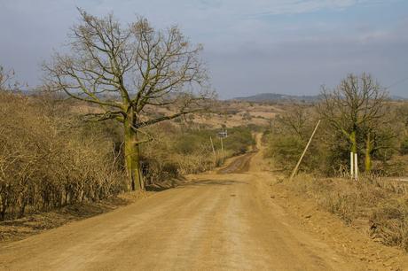 Manabí profundo