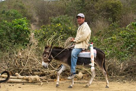 Manabí profundo