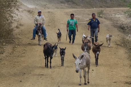 Manabí profundo