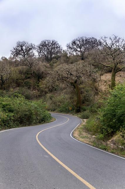 Manabí profundo