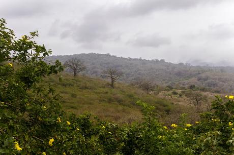 Manabí profundo