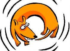 La ultima vuelta del perro.