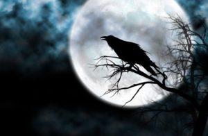 El significado espiritual de los pájaros que cantan en la noche. ¿Los has escuchado? 71028D13-E400-4CD5-94C7-67F04EA731A8