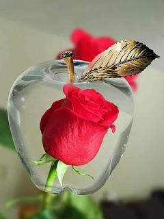 ES HORA DE ORDENAR...