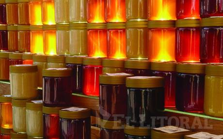 Promueven la apicultura