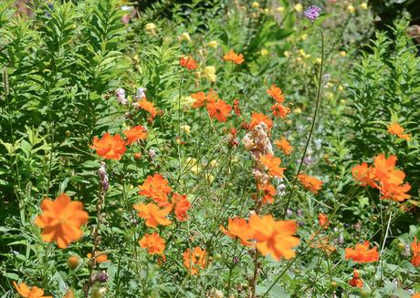 La increíble Alhambra