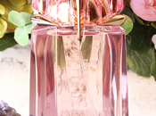 nuevas incorporaciones rutina diaria