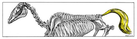 [HUMOR EN CÁPSULAS] Para hoy martes, 17 de abril