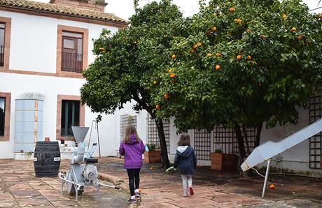 Molino La Nava Mar y Luna