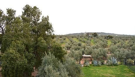 Molino La Nava Olivares