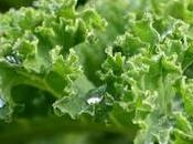 Kale