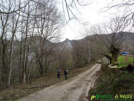 Desvío de la pista hacia el bosque bajando a la Foz