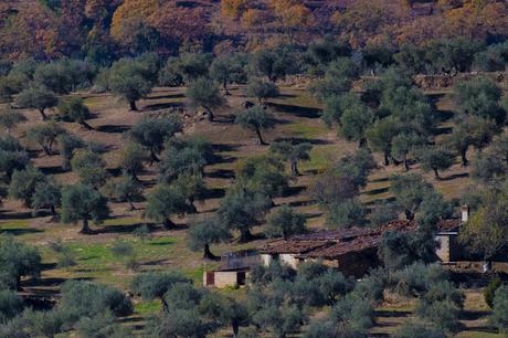 Tierra de conquistadores? Tierra de conquistadores?