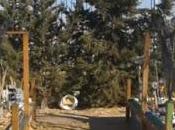 Nuestro huerto escolar c.e.i.p. valdespartera