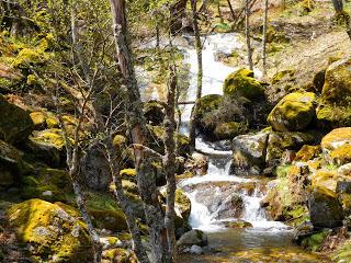 Llega la primavera. Valle de Iruelas