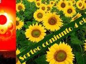 Sorteo conjunto tragedia girasol (benito olmo)