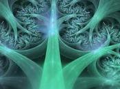 Paginas tiendas cosas relacionadas autoconsumo marihuana