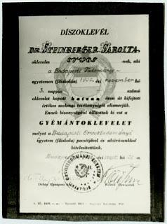 El máster de Wang El máster de Wang