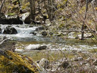 Valle de Iruelas. (2)