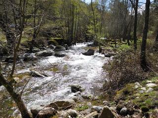 Valle de Iruelas. (2)