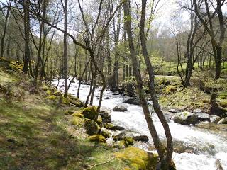 Valle de Iruelas. (2)