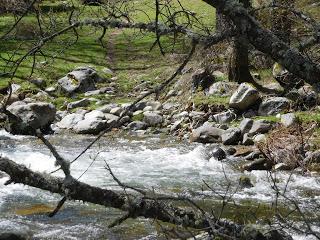 Valle de Iruelas. (2)