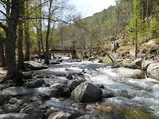 Valle de Iruelas. (2)