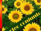 Sorteo conjunto tragedia girasol Benito Olmo