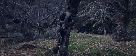 Festival de Málaga 2018: TRINTA LUMES, lo sublime invisible