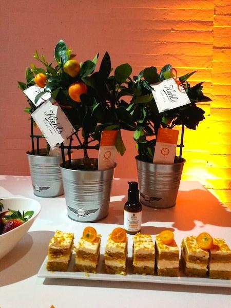 La Vitamina C Y Otras Sustancias a Las Que Mi Piel Es Adicta