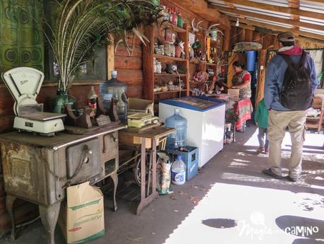 Excursión a la playa de Quila Quina Excursión a la playa de Quila Quina