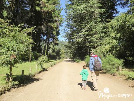 Excursión a la playa de Quila Quina Excursión a la playa de Quila Quina
